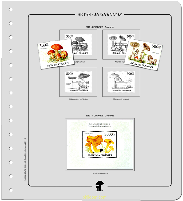 Suplemento. SETAS 2010 Sin montar