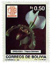 FLORES Y EMBLEMAS DE EVENTOS MUNDIALES