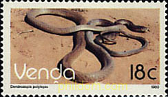 REPTIL