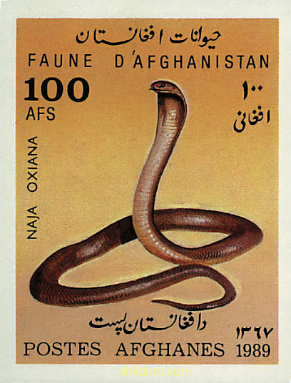 FAUNA AFGANA