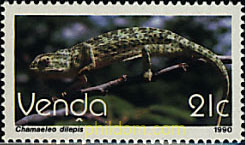 REPTIL