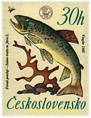 CAMPEONATOS DEL MUNDO DE PESCA FLUVIAL