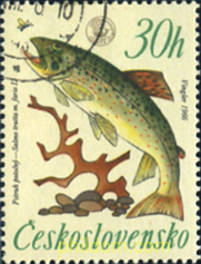 CAMPEONATOS DEL MUNDO DE PESCA FLUVIAL