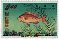 PECES