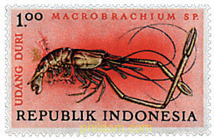 CRUSTACEOS Y PECES