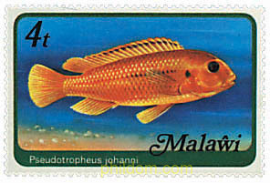 PECES DE MALAWI