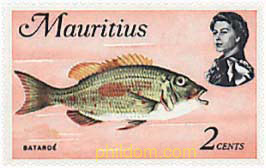 FAUNA MARINA
