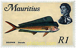 FAUNA MARINA