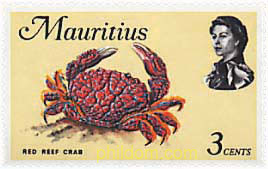 FAUNA MARINA