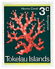CORALES