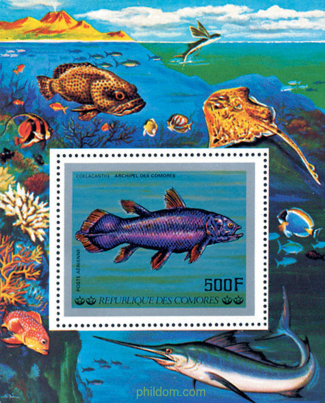 PECES DEL OCEANO INDICO