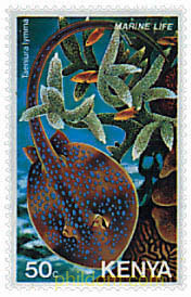 FAUNA MARINA