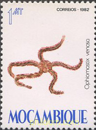 FAUNA MARINA
