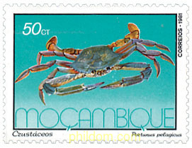 CRUSTACEOS