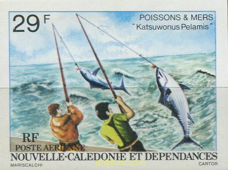 PECES