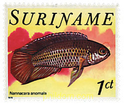 PECES TROPICALES