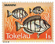 PECES