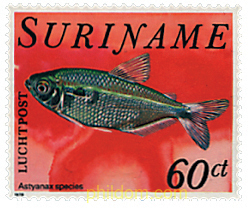 PECES TROPICALES