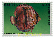 PECES TROPICALES