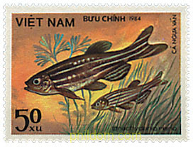 PECES