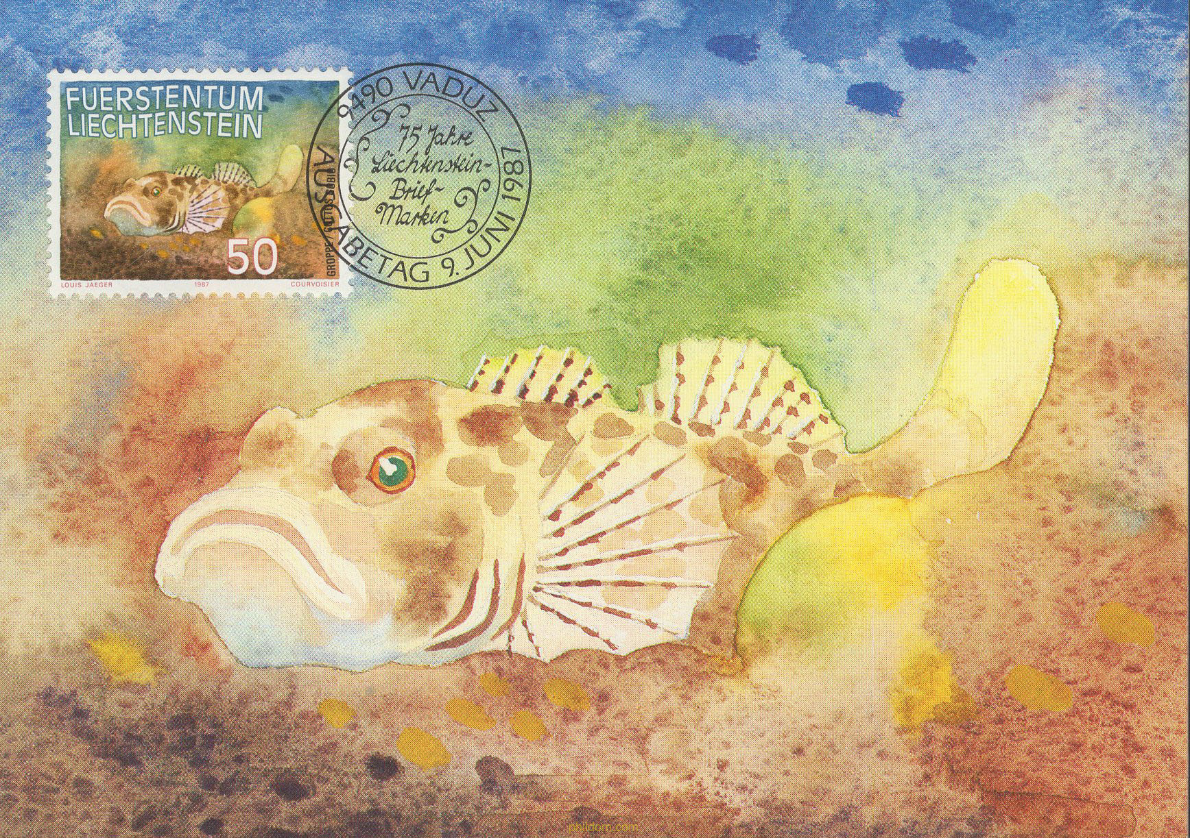 PECES DE AGUA DULCE
