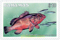 PECES