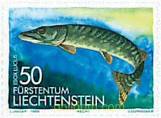 PECES DE AGUA DULCE