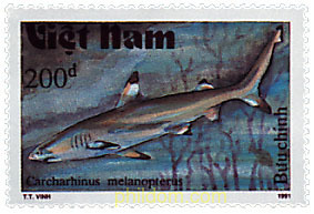 TIBURONES