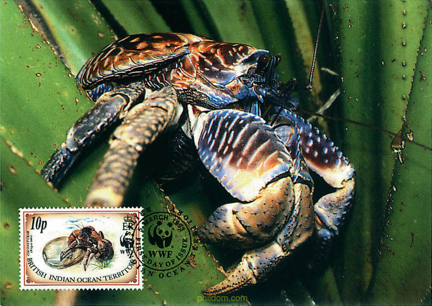 PROTECCION DE LA NATURALEZA. CANGREJO COCOTERO