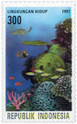 FAUNA MARINA