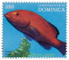 DIA DEL SELLO. PECES