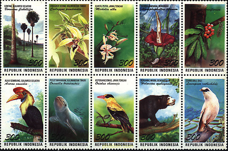 FAUNA Y FLORA NACIONAL