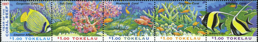 AÑO DE LOS ARRECIFES DEL CORAL