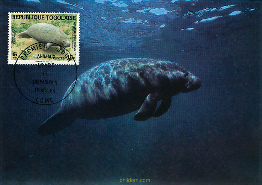 FAUNA EN PELIGRO DE EXTINCION