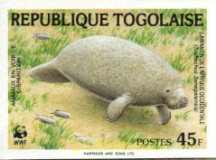 FAUNA EN PELIGRO DE EXTINCION