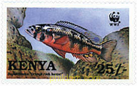 PECES DEL LAGO VICTORIA