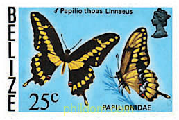MARIPOSAS
