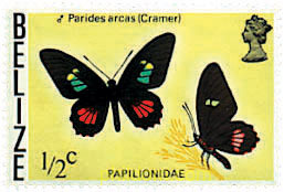 MARIPOSAS