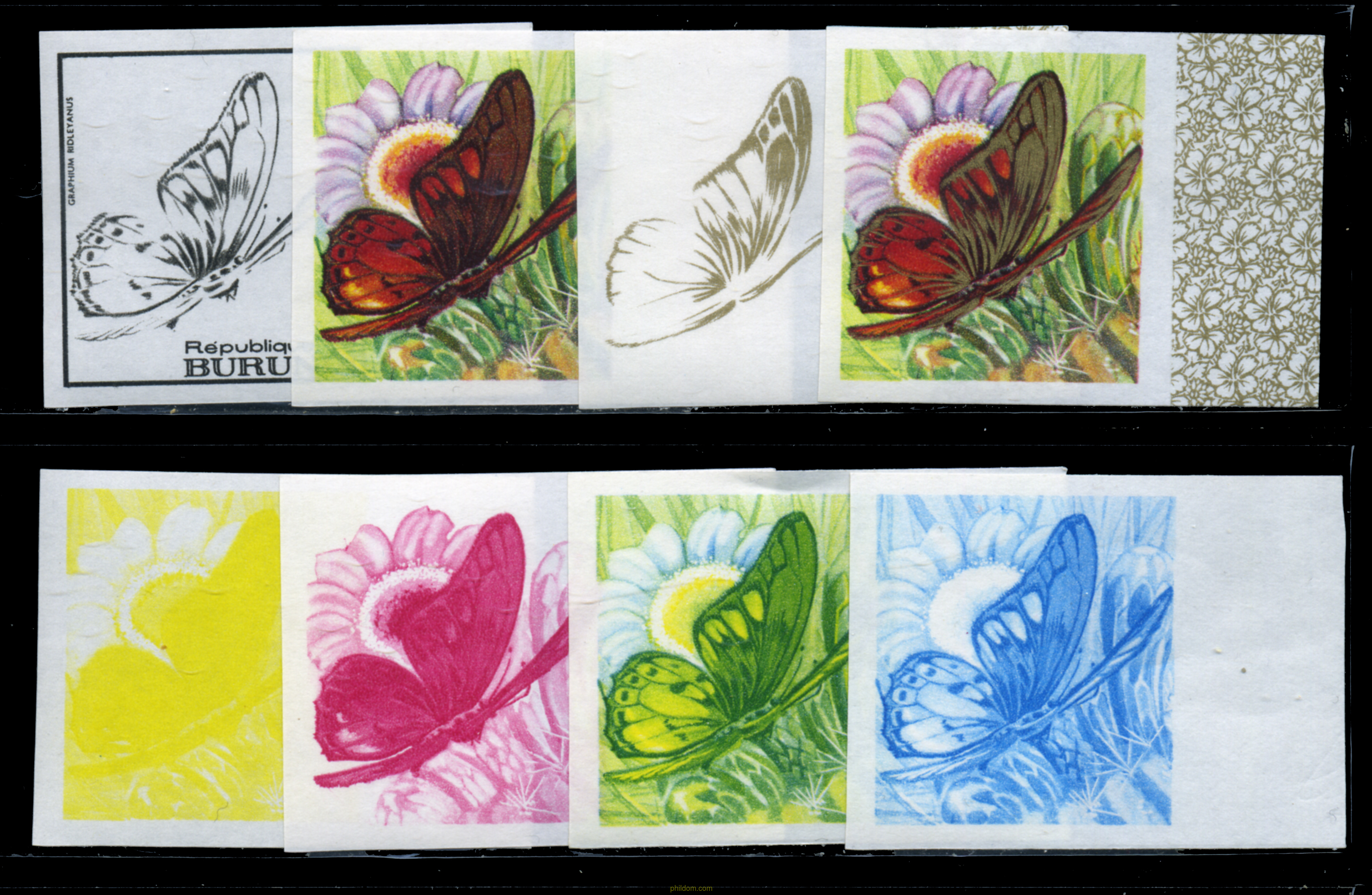 MARIPOSAS