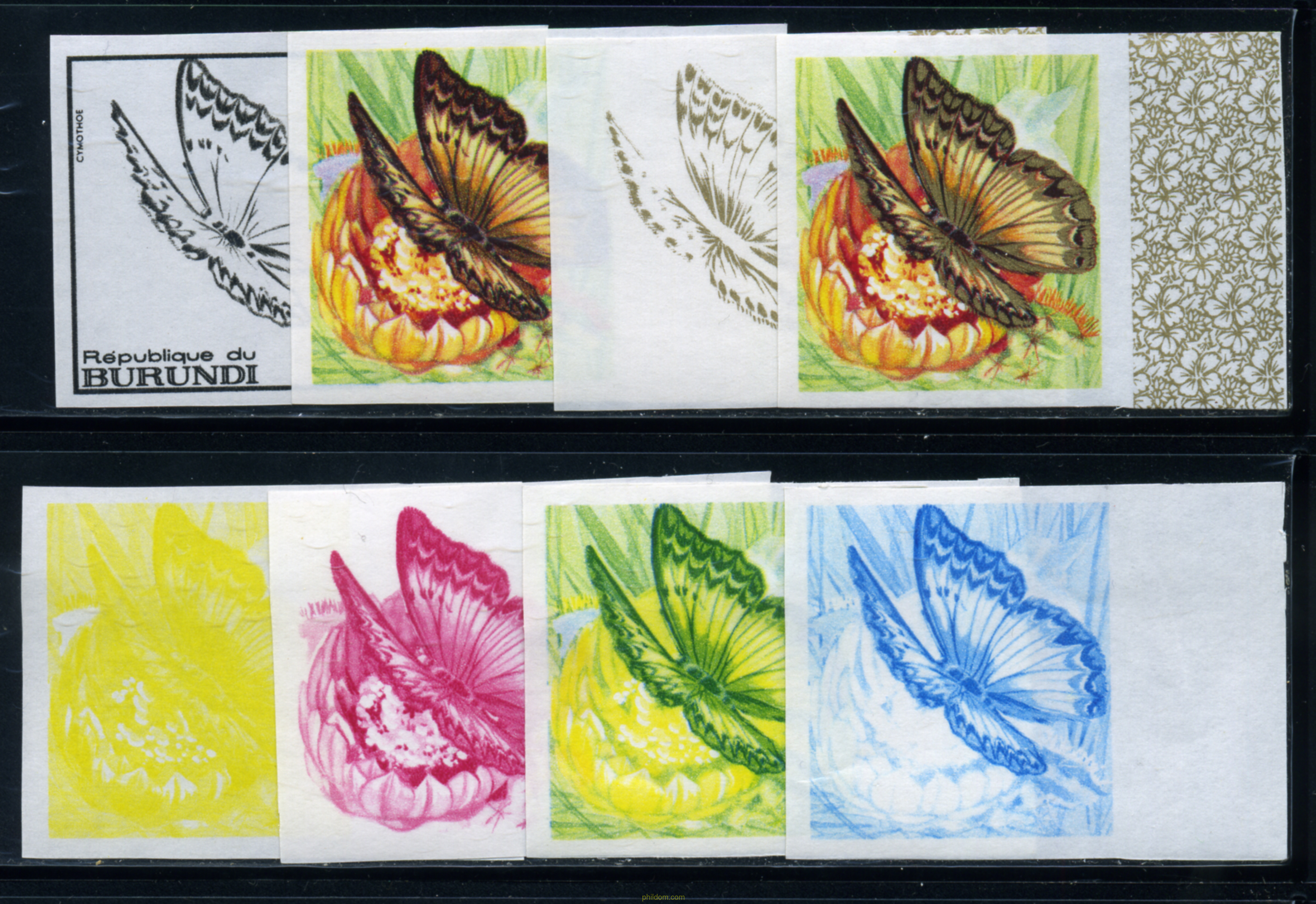 MARIPOSAS