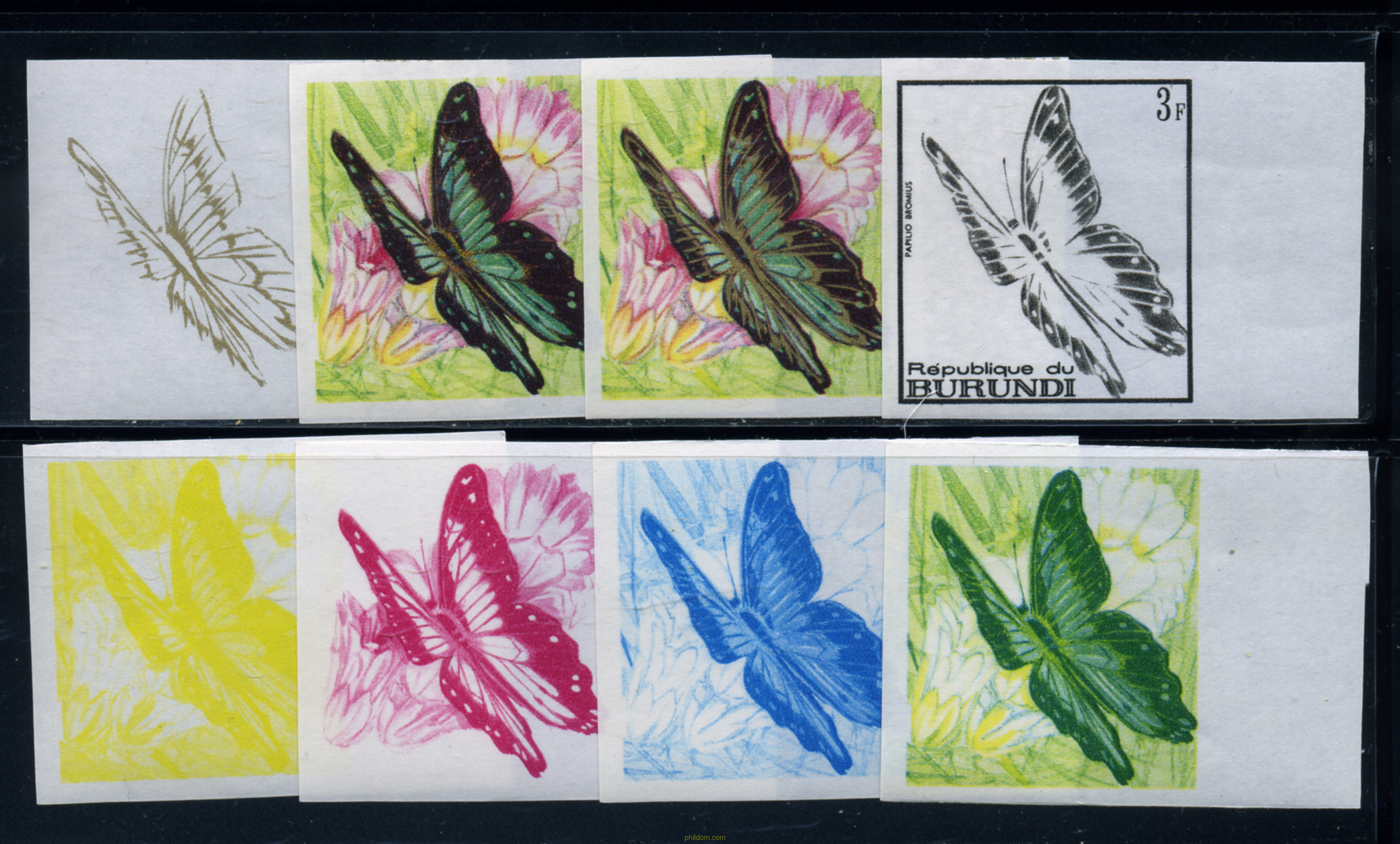 MARIPOSAS