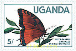 MARIPOSAS DE UGANDA