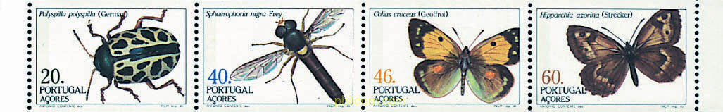INSECTOS