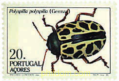 INSECTOS