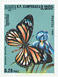 MARIPOSAS