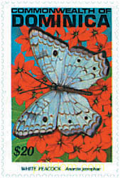 MARIPOSAS