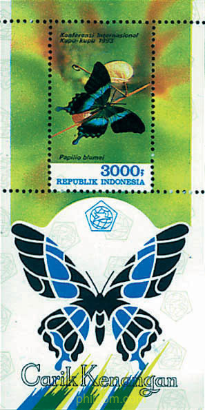 CONFERENCIA MUNDIAL SOBRE MARIPOSAS