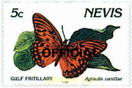 MARIPOSAS