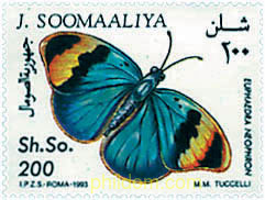 MARIPOSAS