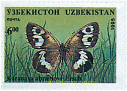 MARIPOSAS